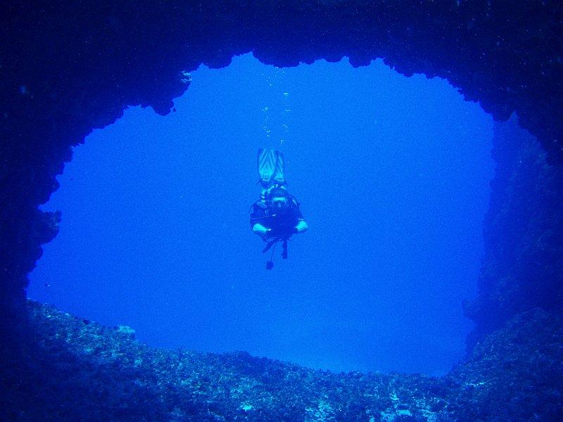 Bohol diving