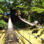 Bohol tours including accommodations