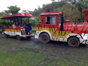 The zoocolate thrills theme park loboc bohol philippines 004